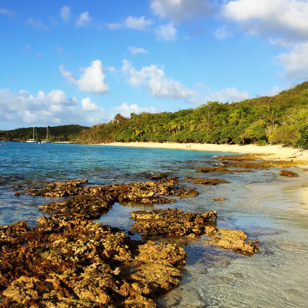 Meet your Posher, Heidi